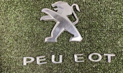 Эмблема Peugeot 308 I Рестайлинг 2011