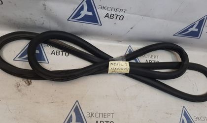 Уплотнитель двери задней левой Volkswagen Passat