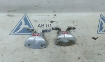 Петли двери задней правой Kia Cerato I 2006