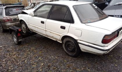 Toyota Corolla VI (1987—1993) 1991