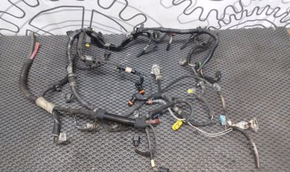Проводка ДВС Renault Espace 4 2.0 M9R 2008