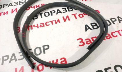 Уплотнительная резинка боковой двери задняя левая
