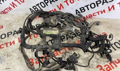 Проводка двс Mercedes-Benz Gl450 X164 273.923 2007